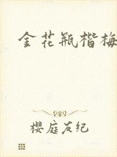 金花瓶楷梅花5封面