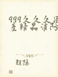 999久久久国产精品消防器材