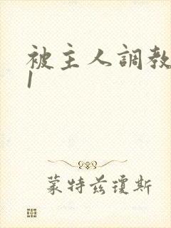 被主人调教1v1封面