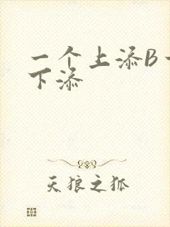 一个上添B一个下添