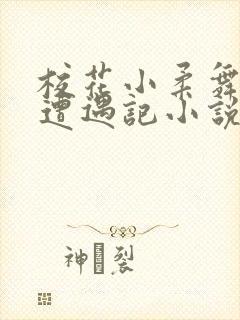 校花小柔舞蹈室遭遇记小说