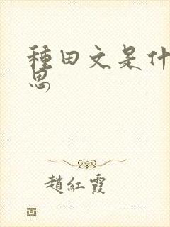 种田文是什么意思