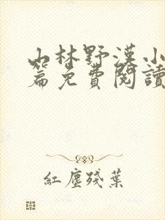 山林野汉小说全篇免费阅读