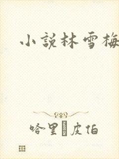 小说林雪梅