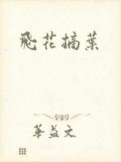 飞花摘叶封面