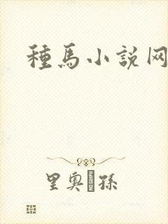 种马小说网