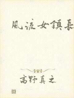 风流女镇长封面