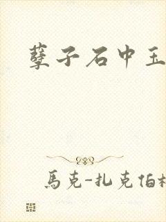 孽子石中玉