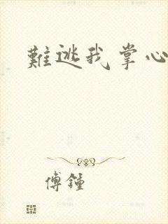 难逃我掌心封面