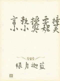 言教授要撞坏了小小奥妮芙原文