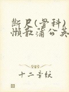 断尺(骨科) 懒散蒲公英封面