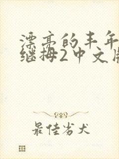 漂亮的丰年经的继拇2中文版封面