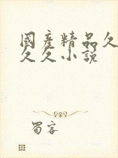 国产精品久久久久久小说