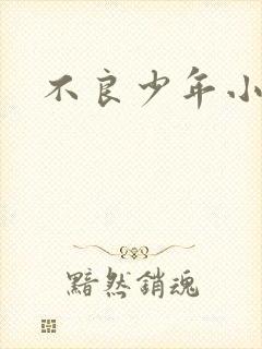 不良少年小说