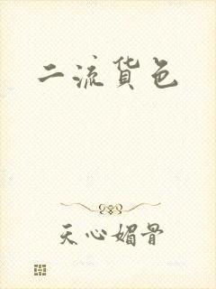二流货色封面