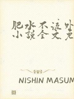 肥水不流外人田小说全文免费阅读1