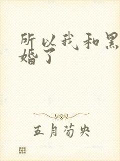 所以我和黑粉结婚了