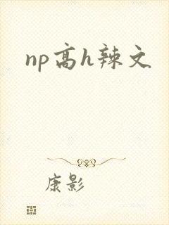 np高h辣文