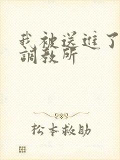 我被送进了私奴调教所