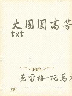 大团圆高芳小说txt封面