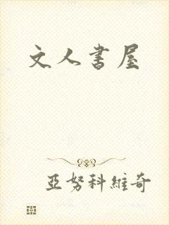 文人书屋封面