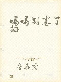 呜呜别塞了啊抽插封面