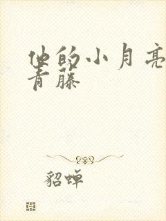 他的小月亮by青藤封面