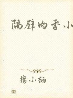 隔壁肉香小说