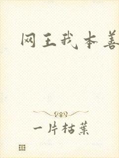 网王我本善良