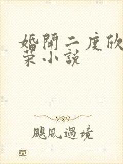 婚开二度欣欣向荣小说