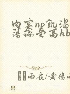 肉宴np饥渴放荡总受高hbl