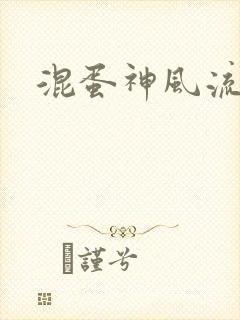 混蛋神风流记封面