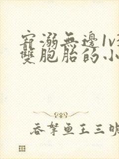 宠溺无边1v3双胞胎的小说