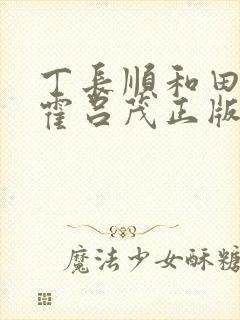 丁长顺和田晓兰霍吕茂正版