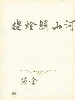 提灯照山河封面