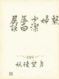 屈辱少妇系列小说白洁封面