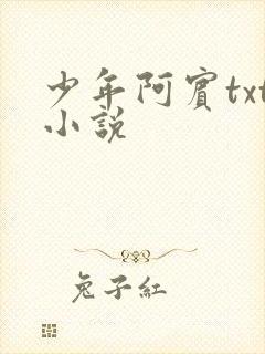少年阿宾txt小说