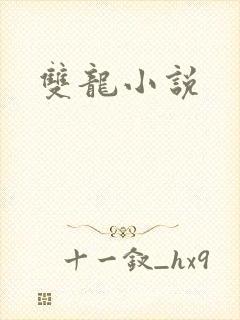 双龙小说
