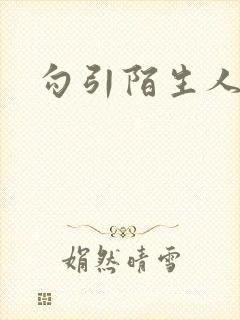 勾引陌生人封面