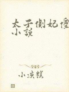 太子侧妃傻乎乎小说