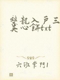 双龙入户三人行夹心饼txt