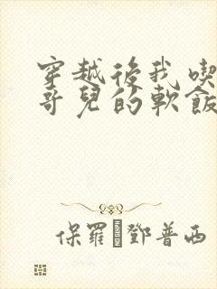 穿越后我吃到了哥儿的软饭炉山灰封面