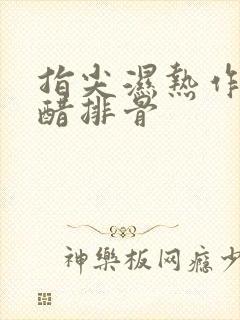 指尖湿热作者糖醋排骨封面