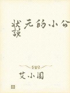 状元的小公主小说