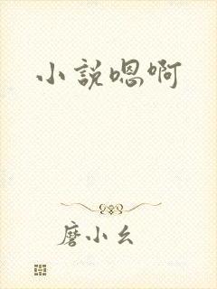 小说嗯啊