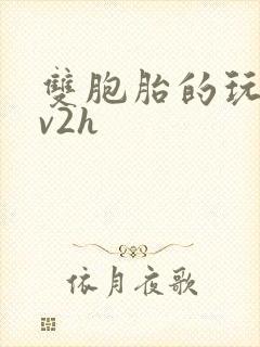 双胞胎的玩具1v2h