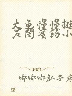 大龟慢慢挺进女友闺蜜的小说封面