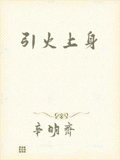 引火上身封面