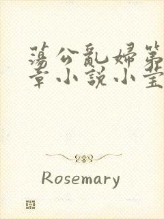 荡公乱妇第51章小说小莹