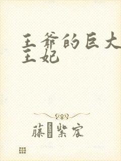 王爷的巨大进入王妃封面